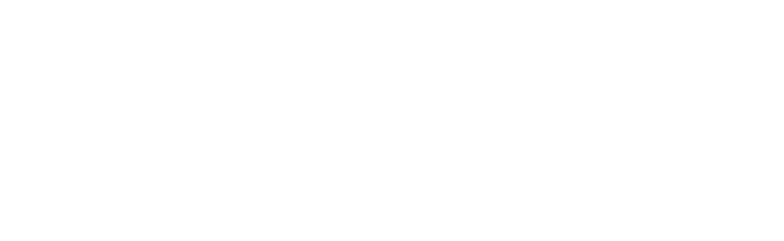 logo main
